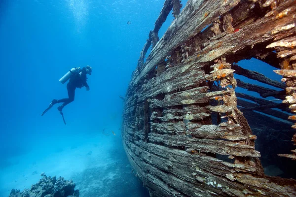 Diver Wreck Ship View — Stock fotografie