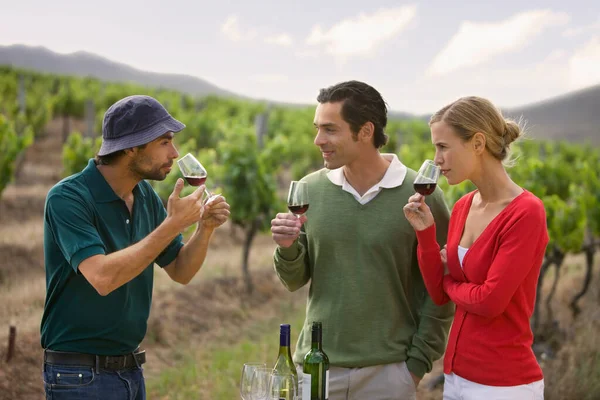 People tasting wine in vineyard