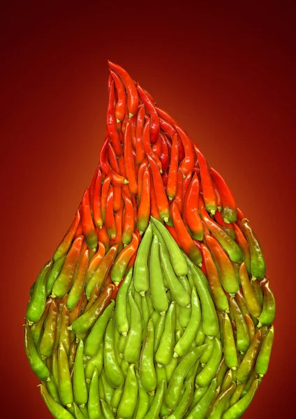 Ilustracja Barwnej Papryki Chili — Zdjęcie stockowe