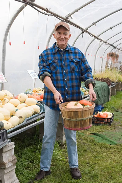 Farmer Greenhouse Pumpkin — Stock Photo, Image