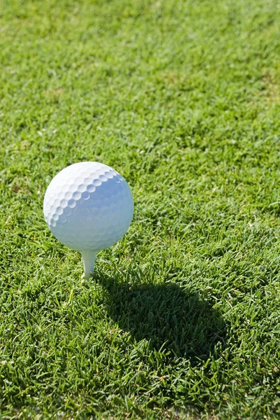 Golf Bold Tee - Stock-foto