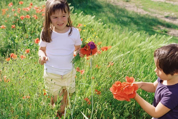 Tarlada Kır Çiçeği Toplayan Kızlar — Stok fotoğraf
