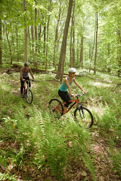 Två Kvinnliga Cyklister Skogen — Stockfoto