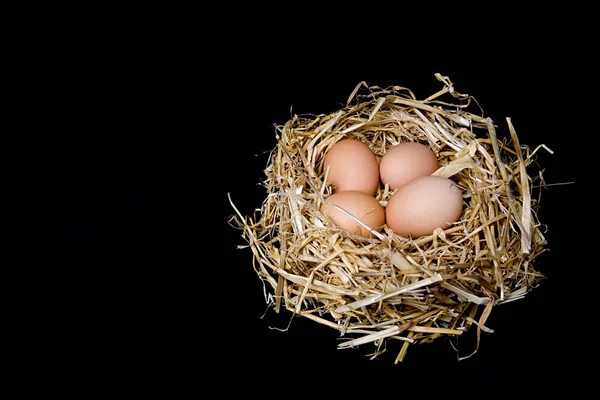 Huevos Nido Paja — Foto de Stock