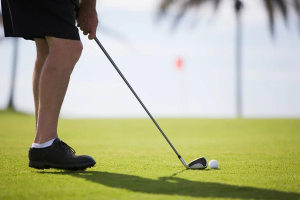 Golfer Zelené Hřiště — Stock fotografie