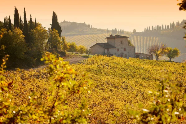 Chianti Classico szőlőültetvények ősszel — Stock Fotó