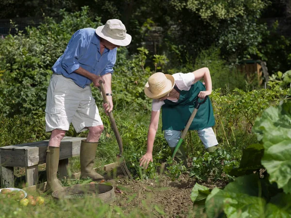 Couple Digging Vegetable Garden — Stock Photo, Image