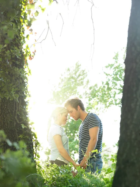 在树林里接吻的情侣 — 图库照片