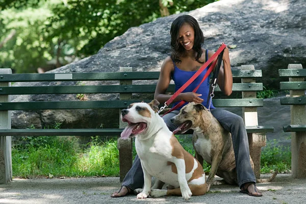 Nainen Istuu Puistonpenkillä Kahden Koiransa Kanssa — kuvapankkivalokuva