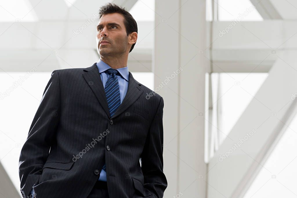 Portrait of a businessman