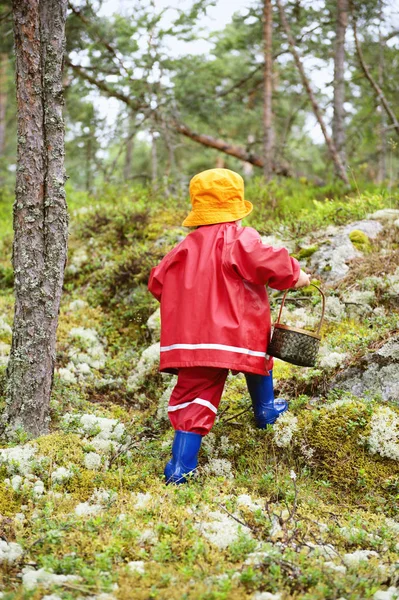 Bambino Con Cesto Che Cammina Nella Foresta — Foto Stock