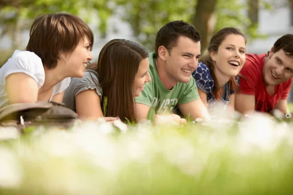 Studenter Som Studerar Utomhus Parken — Stockfoto