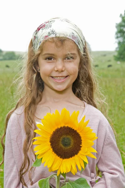 Menina Prado Com Girassol — Fotografia de Stock