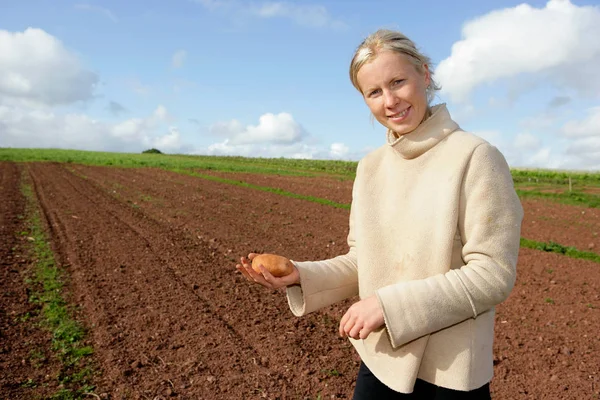 Farm Worker Holds Potato — Stock Photo, Image
