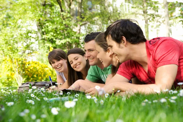 Studenten Studeren Buiten Het Park — Stockfoto