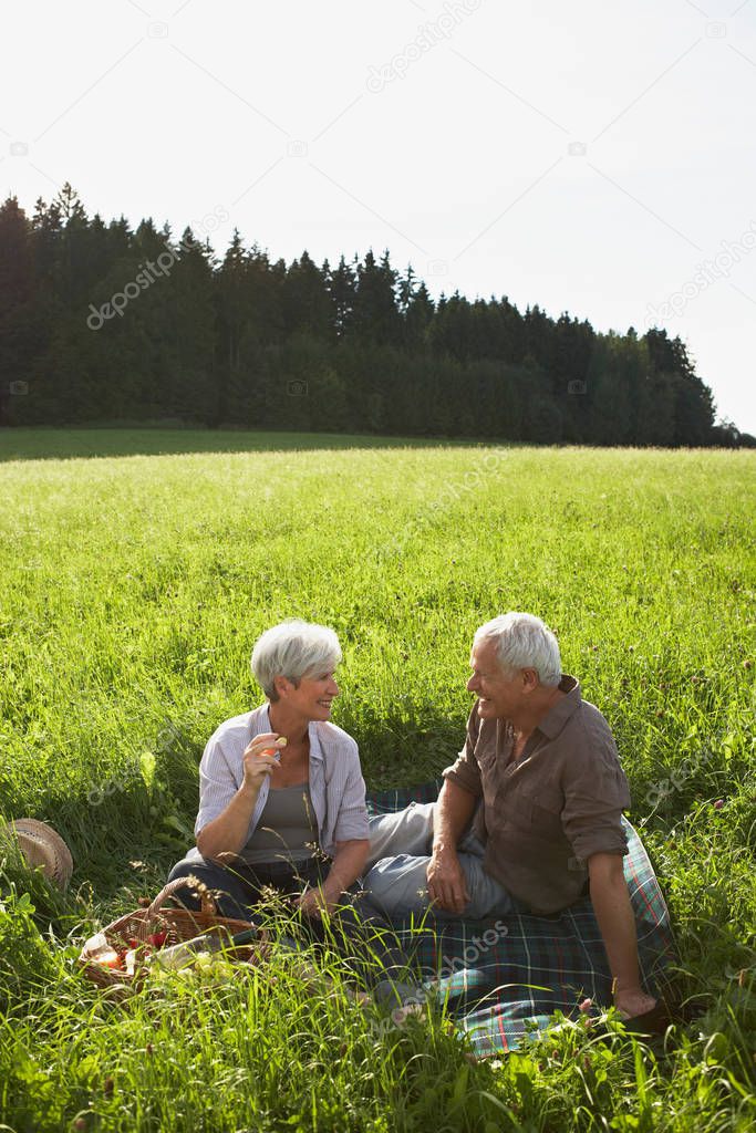 Senior couple having picnic in meadows