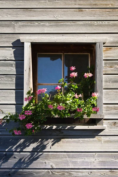 Розовые герани в оконной коробке деревянного дома в валах — стоковое фото
