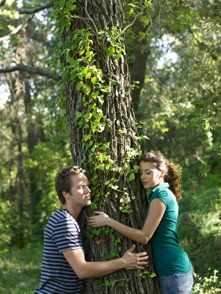 Casal Abraçando Árvore Verde — Fotografia de Stock