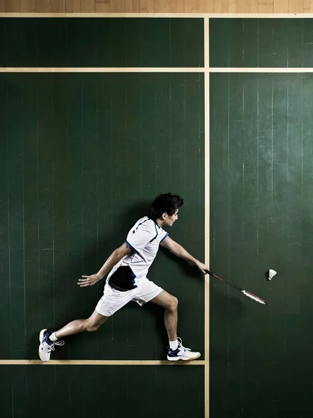 Badminton Gracz Leżący Dworze — Zdjęcie stockowe