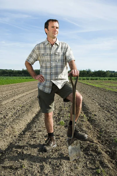 Farmář Stojící Poli — Stock fotografie