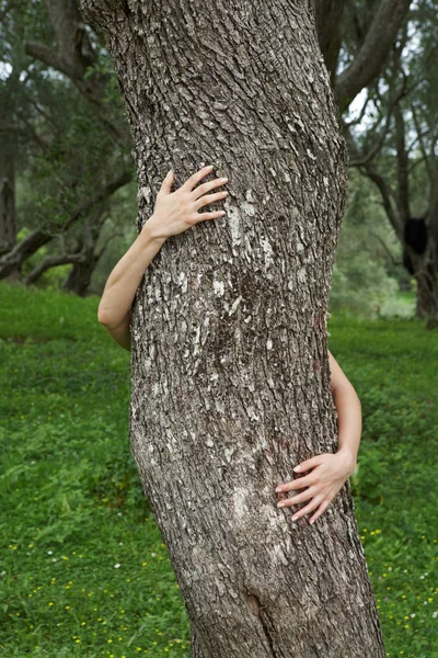 Arms of young woman hugging a tree