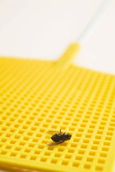Dead Fly Fly Swatter — Stock Photo, Image