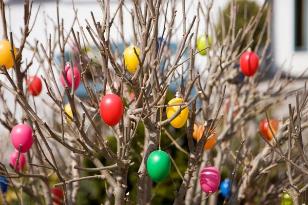 Decoración Huevos Pascua Monte —  Fotos de Stock