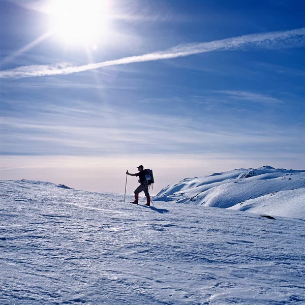 Sciare Uomo Montagna — Foto Stock