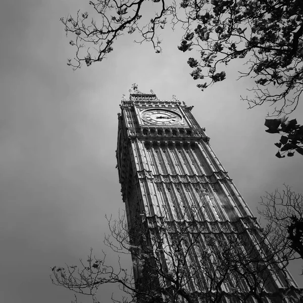 Wieża Zegarowa Big Bena — Zdjęcie stockowe