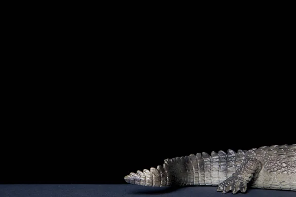 Crocodilos Brinquedo Cauda Fundo Preto — Fotografia de Stock