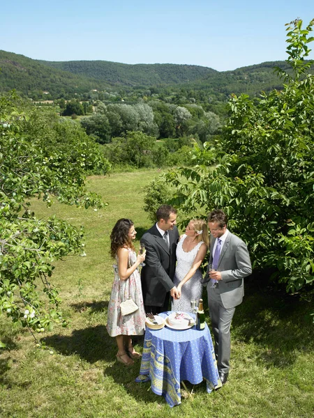 Bahçede Düğün Çift Kesme Pastası — Stok fotoğraf
