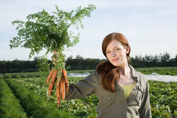 Mujer Joven Sosteniendo Racimo Zanahorias Campo — Foto de Stock