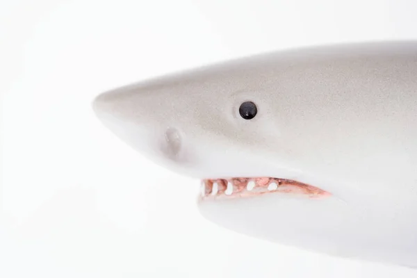 Tiburón Juguete Aislado Sobre Fondo Blanco — Foto de Stock