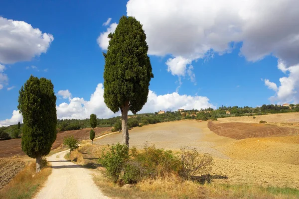 Orcia Völgyre Nyáron — Stock Fotó