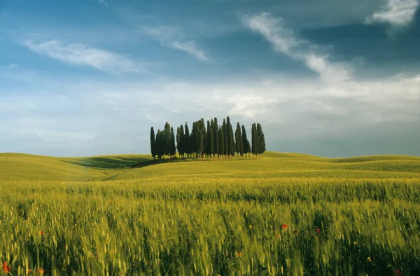 Paisagem Toscana Sobre Céu Azul — Fotografia de Stock