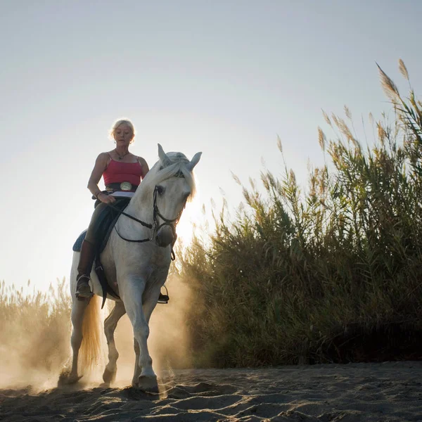 Frau Reitet Pferd Strand — Stockfoto