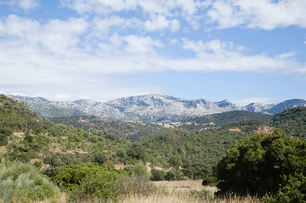 Sierra Nevada Widok Góry — Zdjęcie stockowe