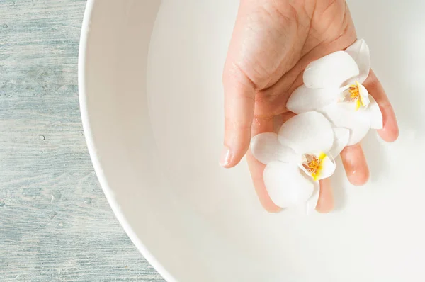 Woman Holding Orchid Flowers — Stock Photo, Image