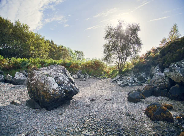 Kövek és cserjék a sziklás tájon, Highland, Skócia — Stock Fotó