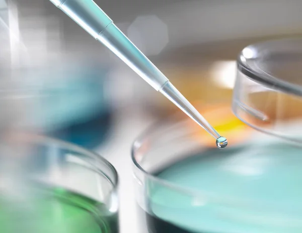 Muestra Pipeteo Científico Una Placa Petri Laboratorio — Foto de Stock