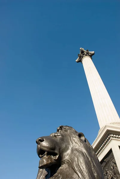 Lion statue and nelsons column