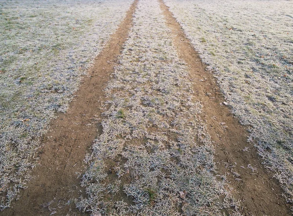 Следы Ледяной Траве — стоковое фото