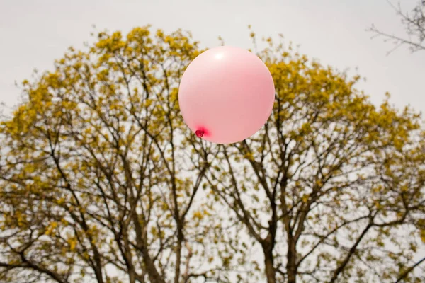 Balão Rosa Flutuando Direção Árvores — Fotografia de Stock