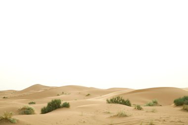 Erg Chebbi sand dunes in the Sahara Desert, Morocco clipart