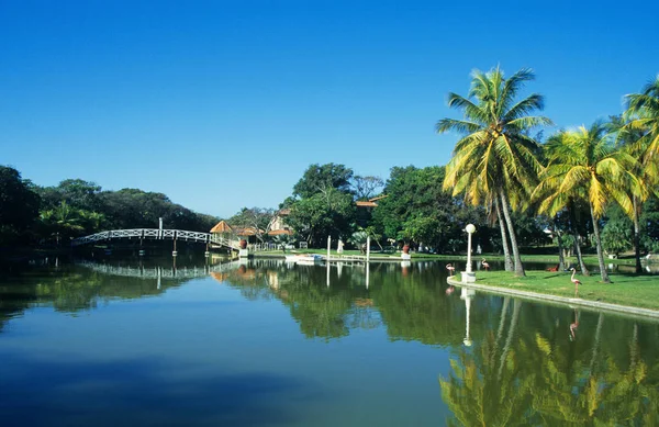 Park Varadero Kubában — Stock Fotó