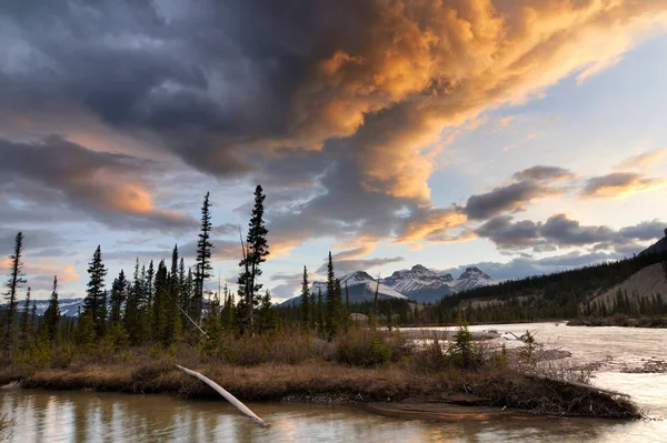 North Saskatchewan River Mount Erasmus Национальный Парк Банф Альберта Канада — стоковое фото
