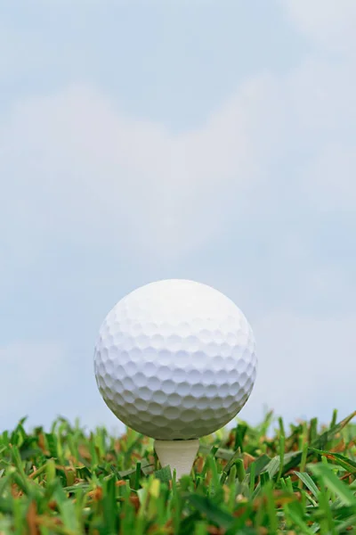 Golfball og tee i gress – stockfoto