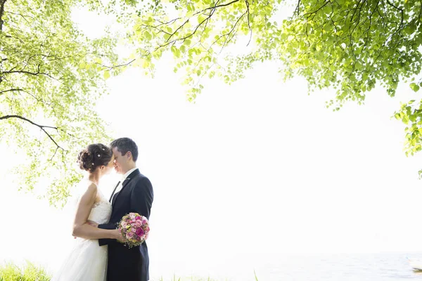 Romantik Yeni Evli Orta Yaşlı Çift Parkta Öpüşüyor — Stok fotoğraf