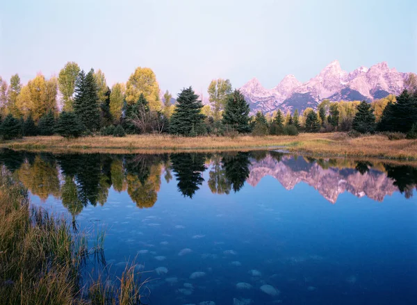 Großteton spiegelt sich im Biberweiher — Stockfoto