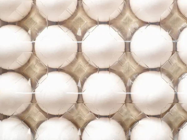 Huevos Blancos Cartón — Foto de Stock